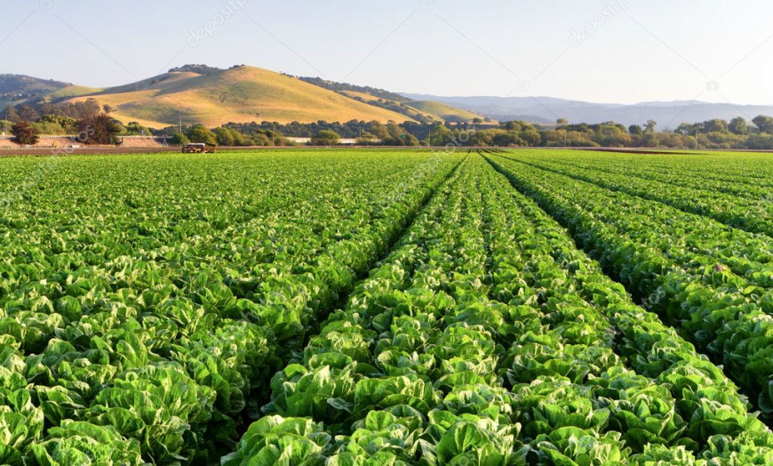 Central Valley